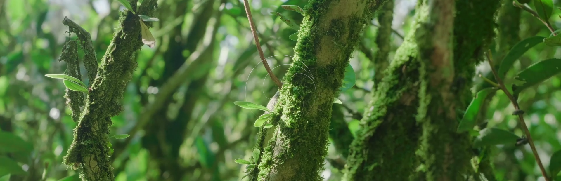 聯(lián)洋宣傳片